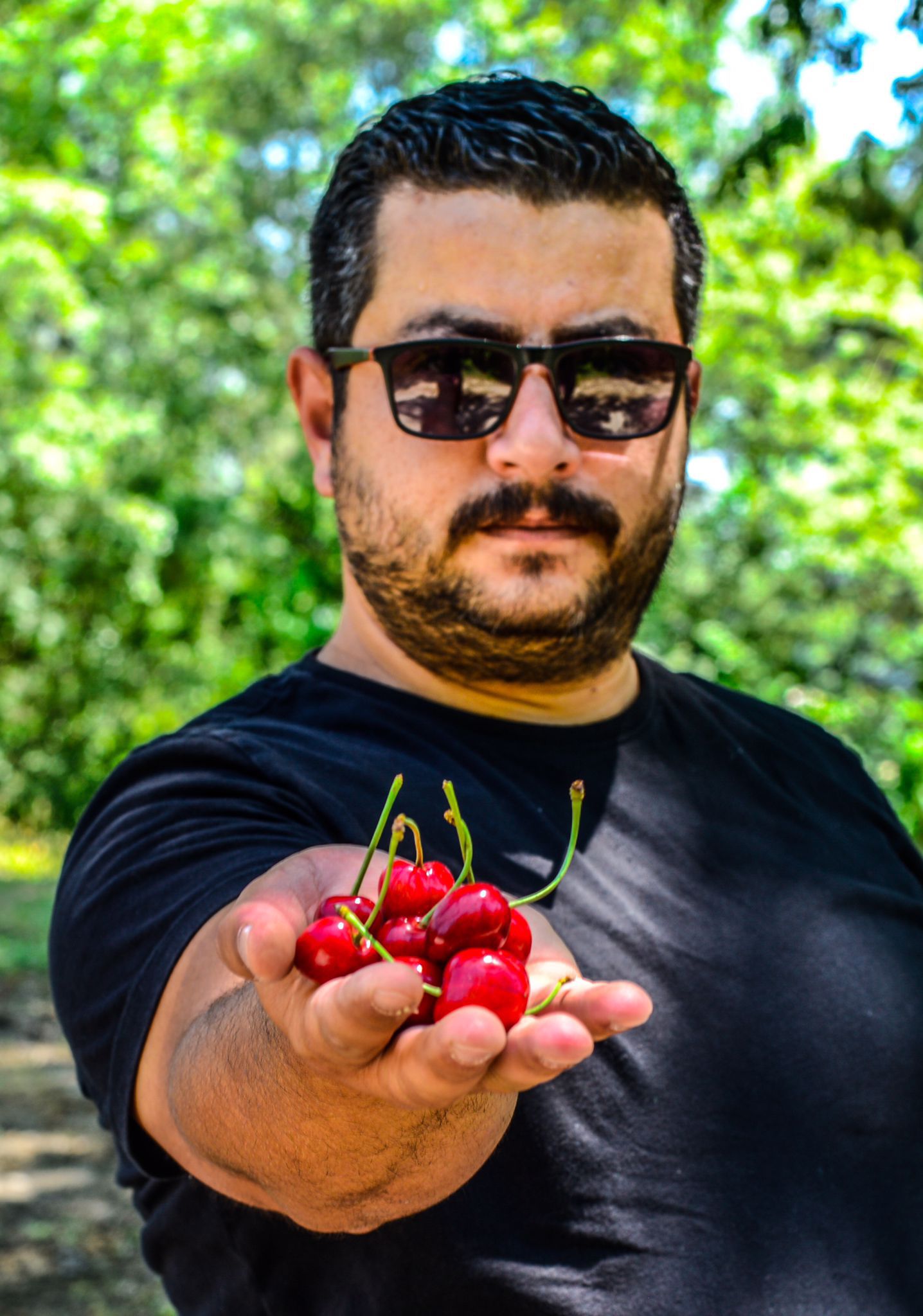 Anasayfa