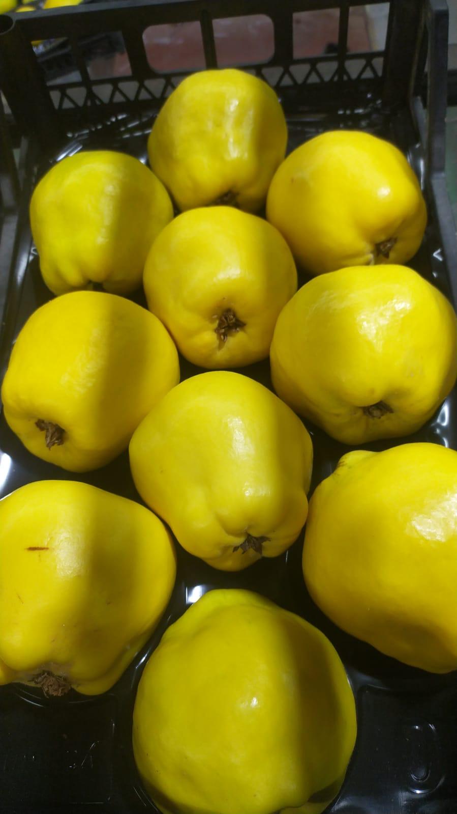 Sınırlı hasat dönemini kaçırmayın, doğallığı taze taze yakalayın.
