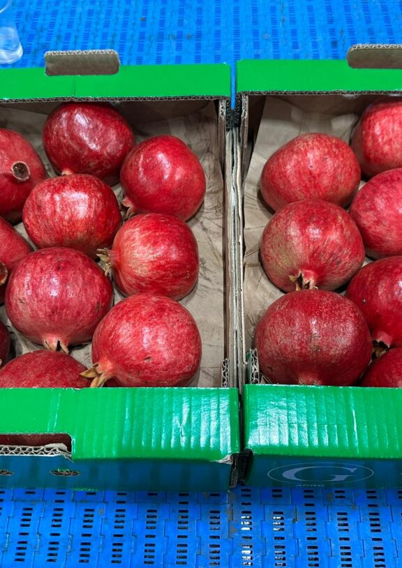 Don't miss the limited harvest season, experience the natural goodness while it's still fresh.